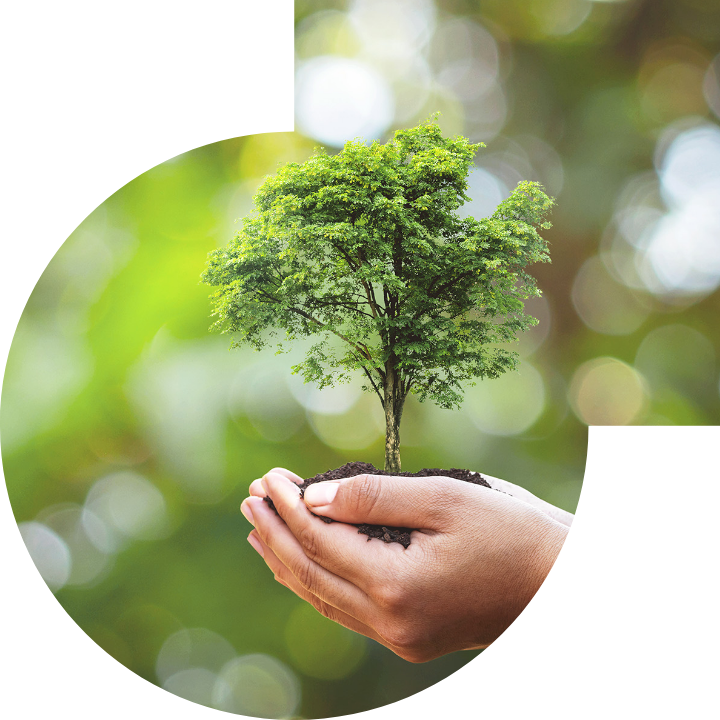 关怀人类、文化、环境与社会